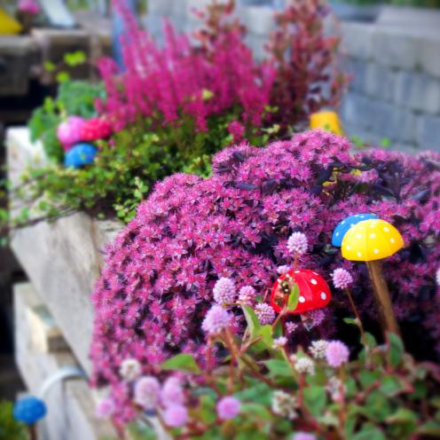 Palle-plantekasser til Åbent Hus arrangement i Gevninge Kulturhus #Frivilligugen 2025